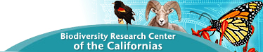 SDNHM Biodiversity Research Center of the Californias