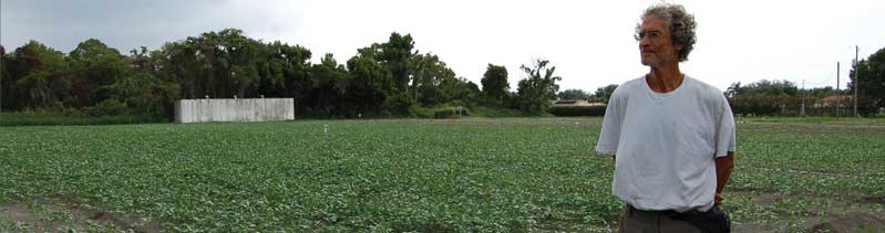 Florida Farmers