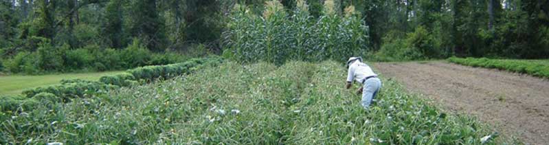 Florida Farmers