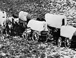 Wagons on the Santa Fe Trail, late 19th century. (Western History Collection, Denver Public Library, Santa Fe Railway photo)