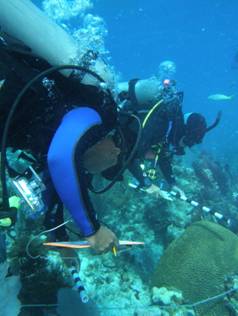 Bleaching workshop par-ticipants conduct a resil-ience survey in the Flor-ida Keys. 