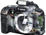 Image of the inner-workings of a Canon EOS 10D camera
