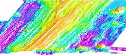 map of Cleft segment