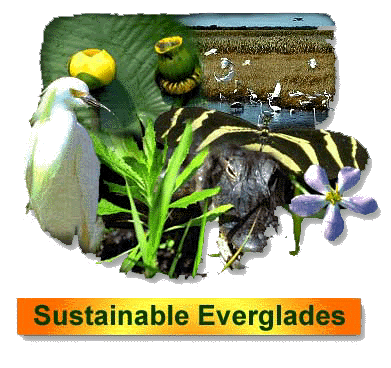 Sustainable Everglades