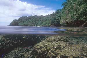 Fagatele Bay water  photo