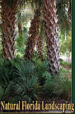 Natural Florida Landscaping Dan Walton & Laurel Schiller 