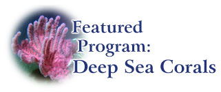 Featured Program - Deep Sea Corals