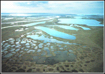 aerial photo of tundra covered by ponds and polygons - USFWS