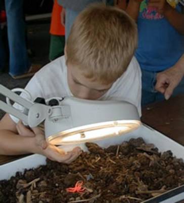 kids looking for insects in a pan of dirt