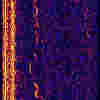 "whistle" spectrogram