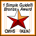 1 Simple Guide - Bronze