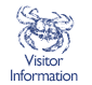 Visitor Information