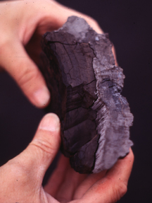 A close-up look at a piece of coal.