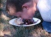 Boy at a pie eating contest at the Grabill County Fair.