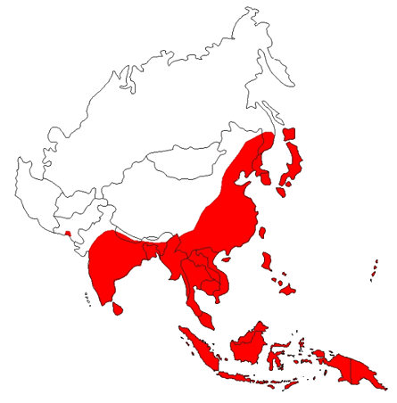 Map: Areas where Japanese encephalitis is endemic