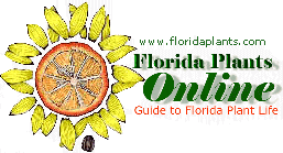 Florida Plants Online