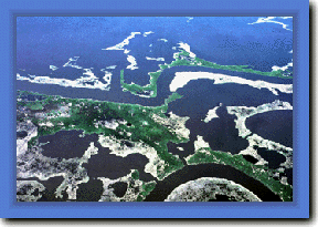 Aerial Photo of Nutria Marshland Habitat