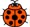 small ladybug image