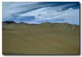 Picture of the desert.
