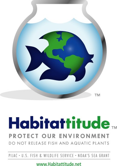 Habitattitude