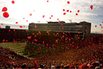 Memorial Stadium