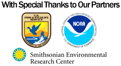 With special thanks to our partners, USFW, NOAA and SERC