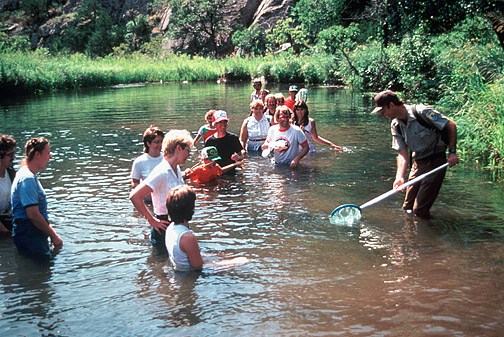 Training and Education Outreach