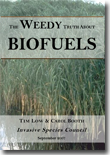 biofuel report cover