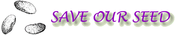 The Save Our Seed Project is dedicated to facilitating a Certified Organic seed growing and distribution network in the Southeast so our growers will never need to purchase seeds from outside of our region again.  We believe that for seeds to perform well here in the Southeast, they must be selected in the Southeast.  Success of this project will mark a boon for local Certified Organic consumers, growers, and seed producers.