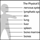  Diagram identifying the location on the body of physical effects from Gaucher disease: the nervous system, lymphatic system, skin, lung, liver,spleen, bone marrow, and bones