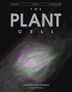 The Plant Cell