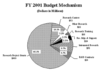 FY 2001 Budget Mechanism