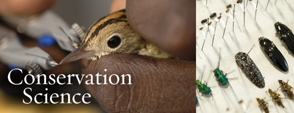 Conservation Science at The Nature Conservancy