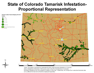 State of Colorado Tamarisk Infestation Map