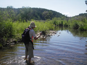 Mac Lewis mapping in the Dolores watershed