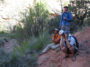 Nate Ament and Tamarisk Coalition volunteers scout for tamarisk in Rattlesnake Canyon, CO