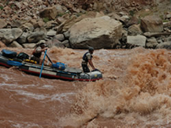 Levi Jamison and Nate Ament running Big Drop 3, nearing the lower extent of the 2008 Colorado River beetle population.