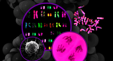 Collage of Genetic Pictures