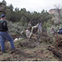 Volunteers working hard in Pollock Canyon, CO