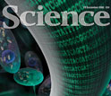 Images of the cover of the December 19, 2008 issue of <em>Science</em> magazine