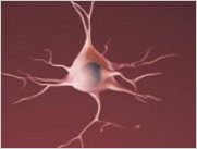 Graphic of a healthy neuron