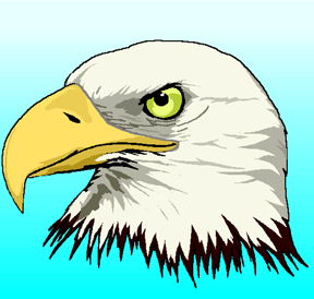 drawing of a bald eagle's head