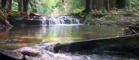 Conservation Projects - Trout Unlimited