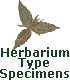 Herbarium Type Specimens