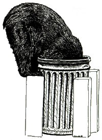 bear in trash can