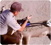 Officer examining carcass