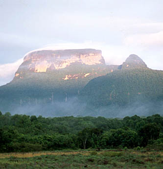 Mount Maringma, Guyana