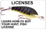 Online Licenses: Buy your hunting and fishing licenses here.