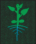 Botany and the Plant Sciences - Click on Image for JPG rendition