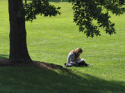 A woman sitting on a nice lawn under a tree.